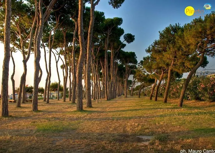 Claudia Int Pt - ピネート